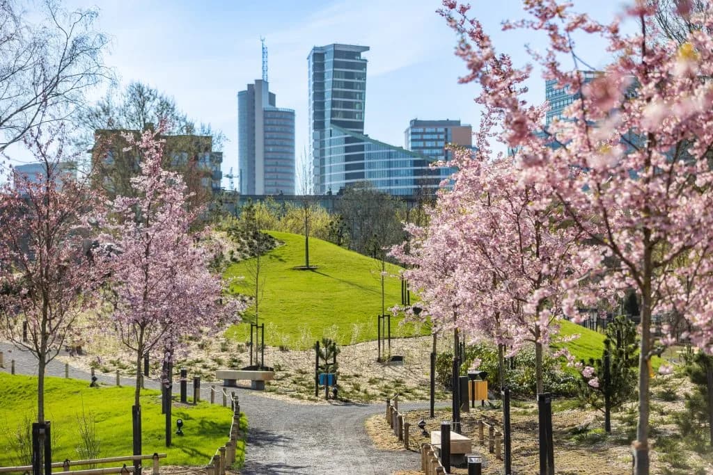 Vilniaus japoniškas sodas, lankytina vieta Vilniuje
